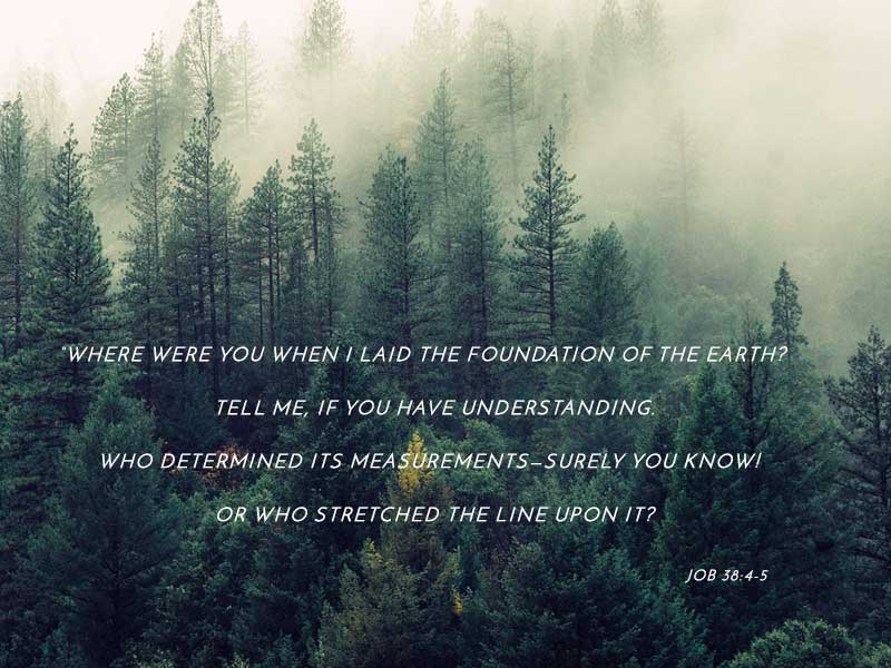 Foundation Of The Earth: A Reflection from The Reader’s choice award-winning Growing A Sustainable Soul: Forty-One Days of Devotions and Reflections. Job 38:4-5