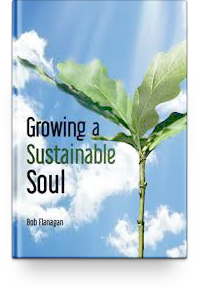 Growing a Sustainable Soul, Forty-One Days of Devotions and Reflections By Fr. Bob Flanagan